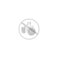 Oorbellen ONH1016